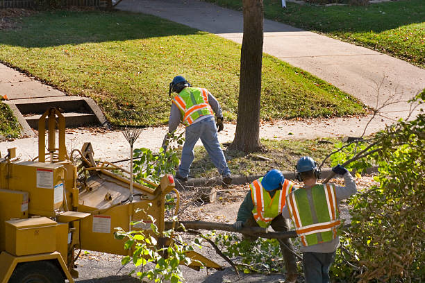 Seasonal Cleanup (Spring/Fall) in Lynn, IN